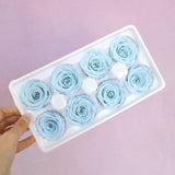 Rose Baby Blue 8 heads