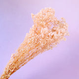 Baby’s Breath Pastel Pink