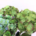 Silk Artificial Hydrangea Bigleaf Natural Green