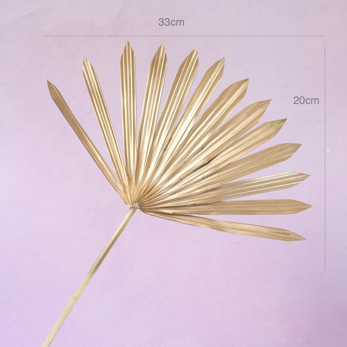 Sun Palm Gold