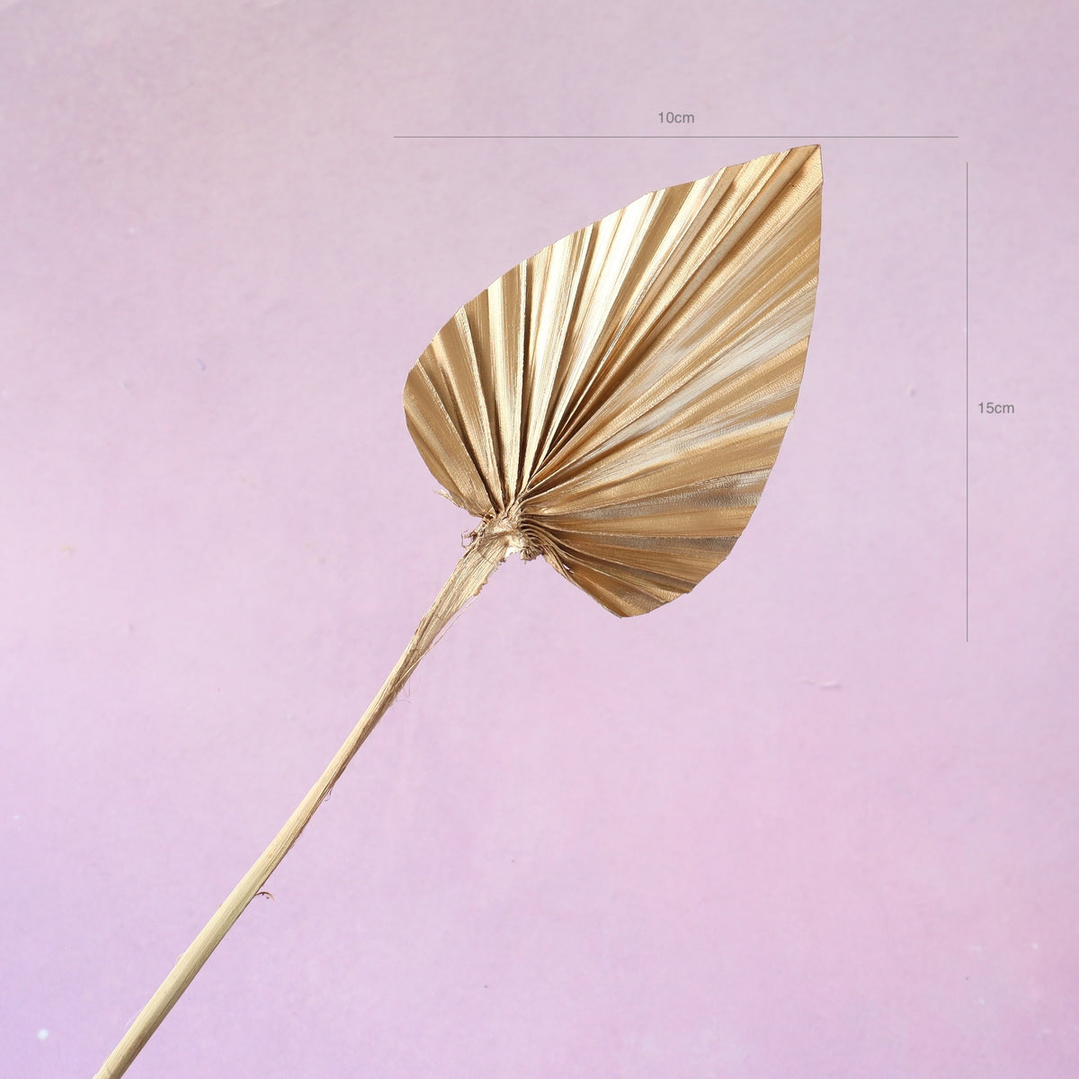 Palm Leaf Small Gold