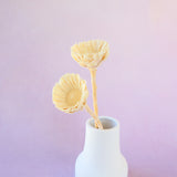 Quasi Sunflower White