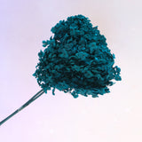 Annabelle Hydrangea Teal