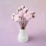 Cotton 10 stems Pink