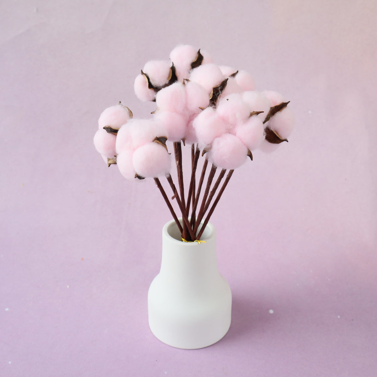 Cotton 10 stems Pink