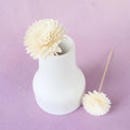 Sola Flower E
