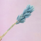 Bunny Tails Dusty Blue