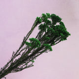 Rice Flower Forest Green