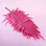 Large Leather Fern Magenta