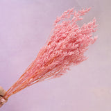 Misty Bleached Pink