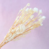 Bleached White Austin Rose Bunch