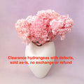 Hydrangea Bigleaf Pink (clearance)