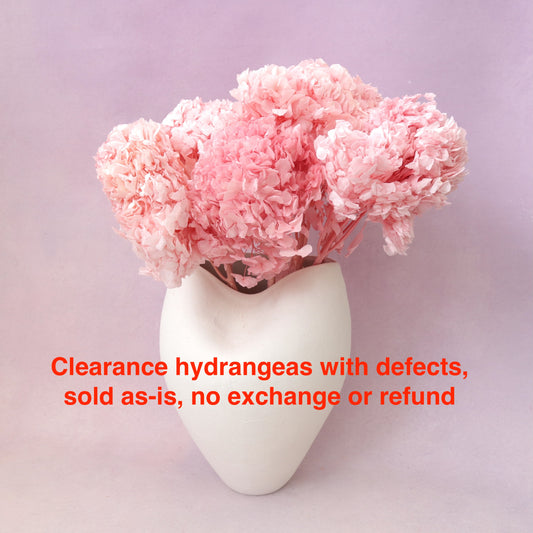 Hydrangea Bigleaf Dark Pink (clearance)