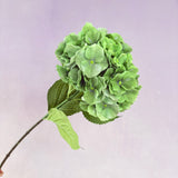 Silk Artificial Hydrangea Bigleaf Bright Green