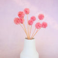 Scabiosa Rose Pink