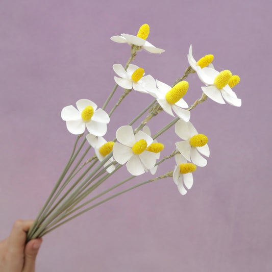 Sola Violet Flower White