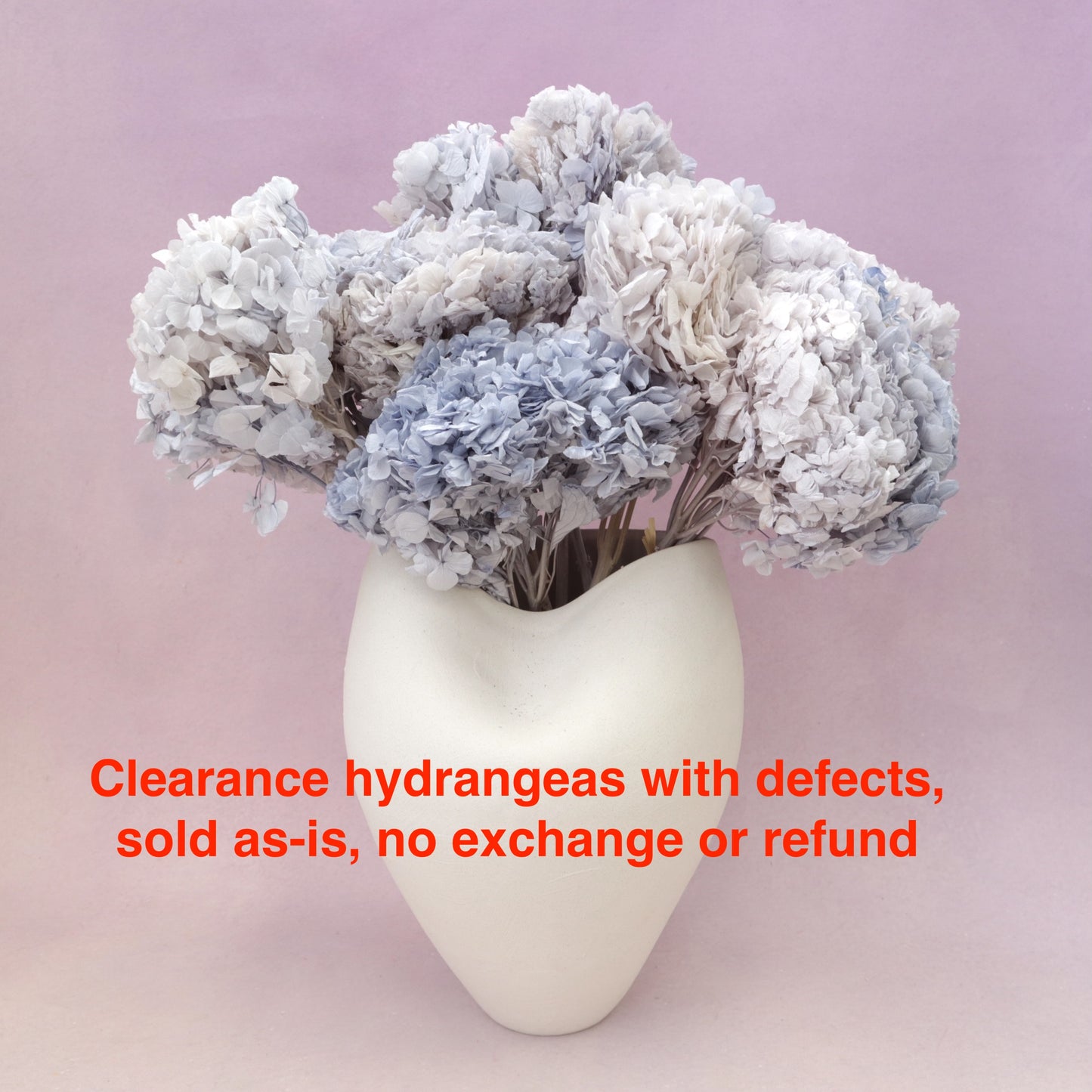 Hydrangea Bigleaf Grey Blue (clearance)