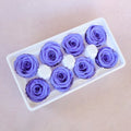 Rose Indigo Purple