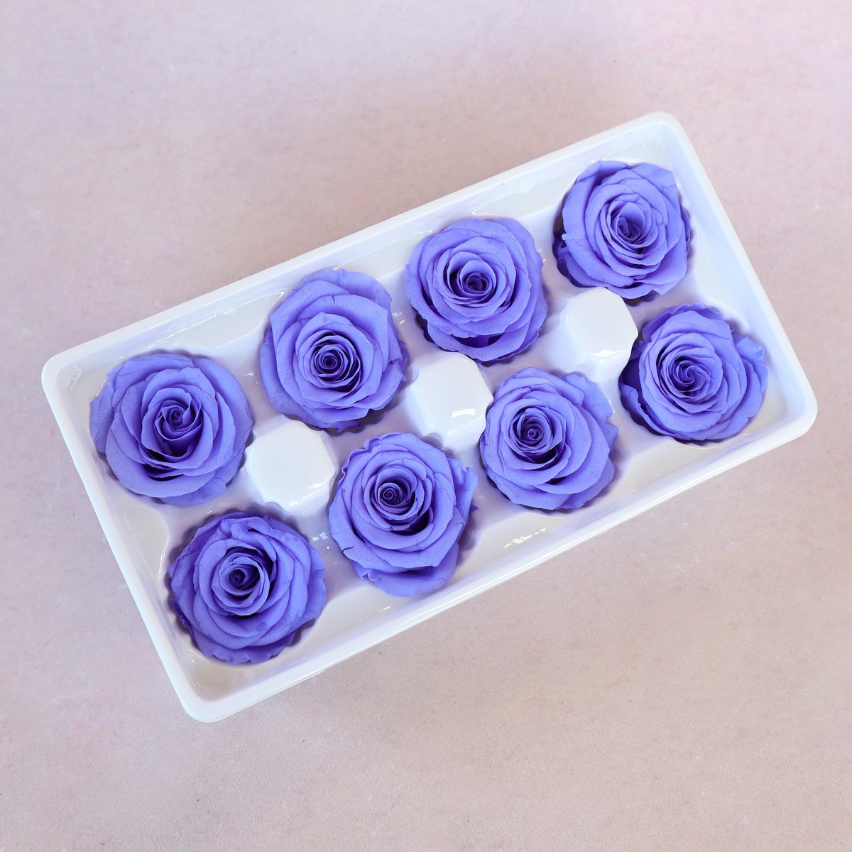 Rose Indigo Purple