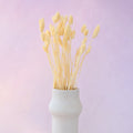 Gem Grass Butter Yellow