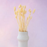 Gem Grass Butter Yellow