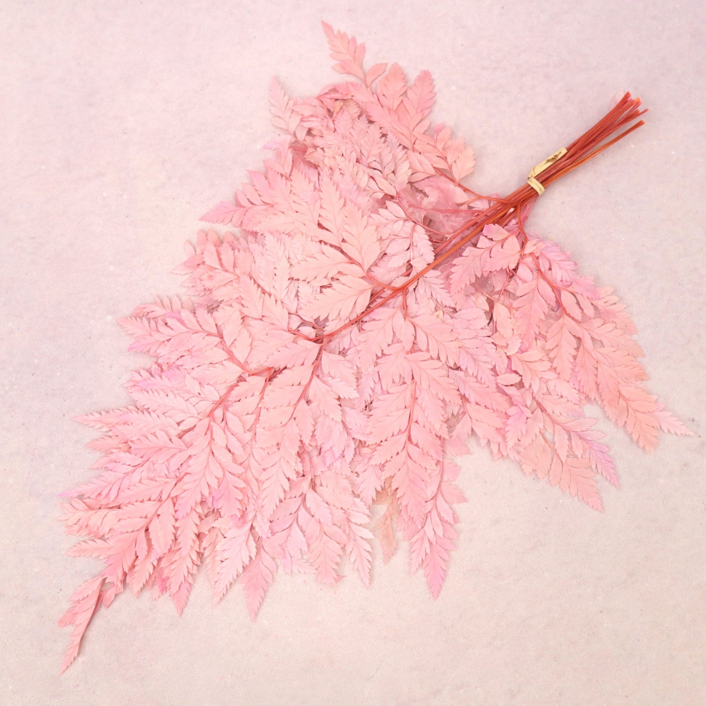 Leather Fern Small Pink