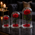 Rose Glass Dome Single Red