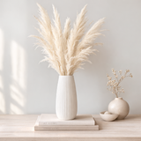Pampas Grass Creamy White