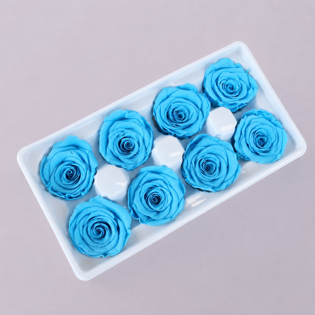 Rose Sky Blue 8 heads