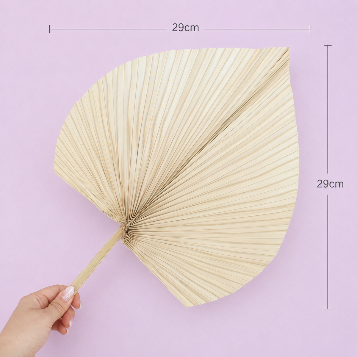Palm Leaf Mid-Large Cream