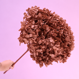 Annabelle Hydrangea Cinnamon Brown