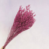 Misty Hot Pink