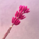 Bunny Tails Magenta