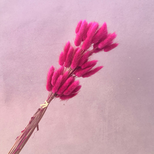 Bunny Tails Magenta