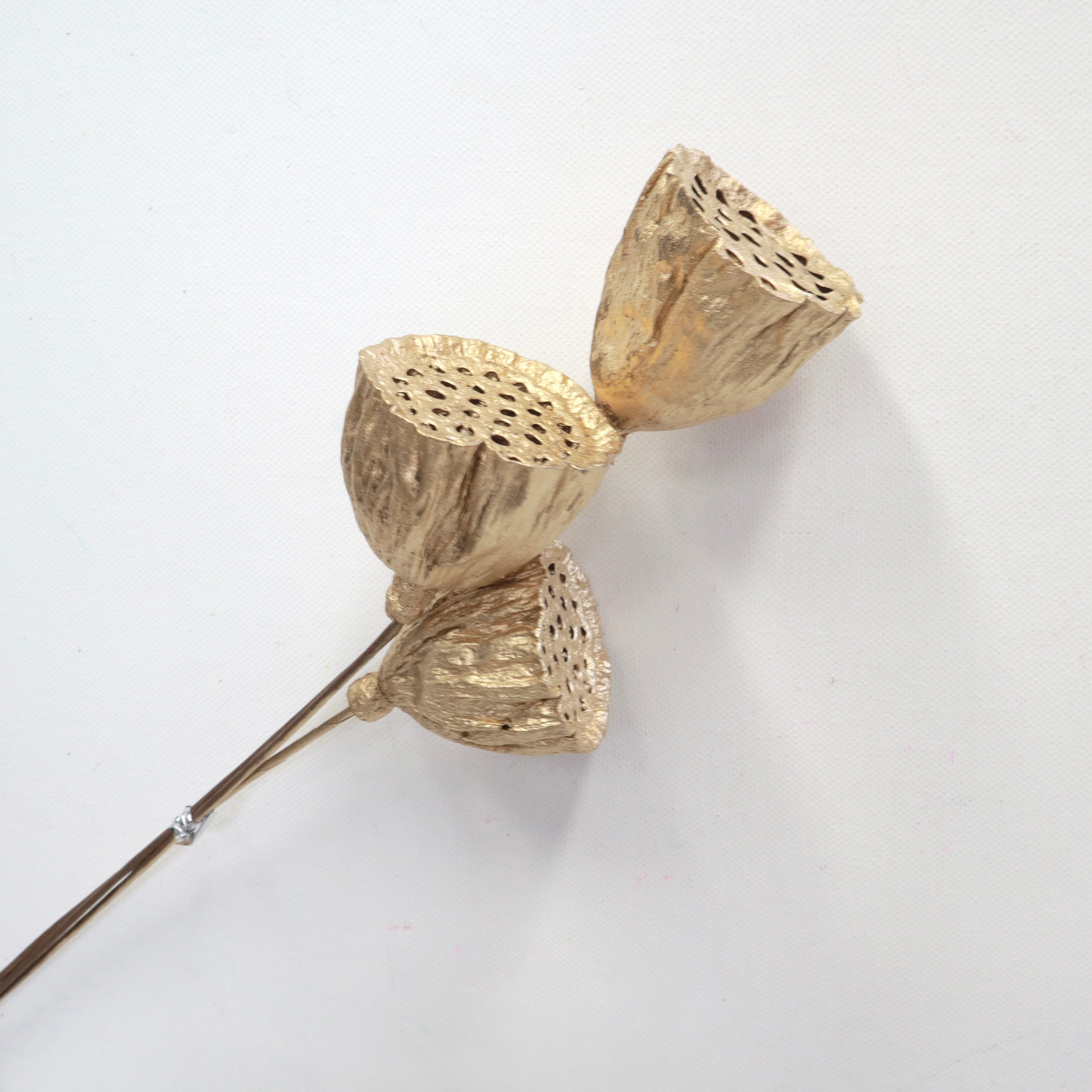 Lotus Pods Gold Medium