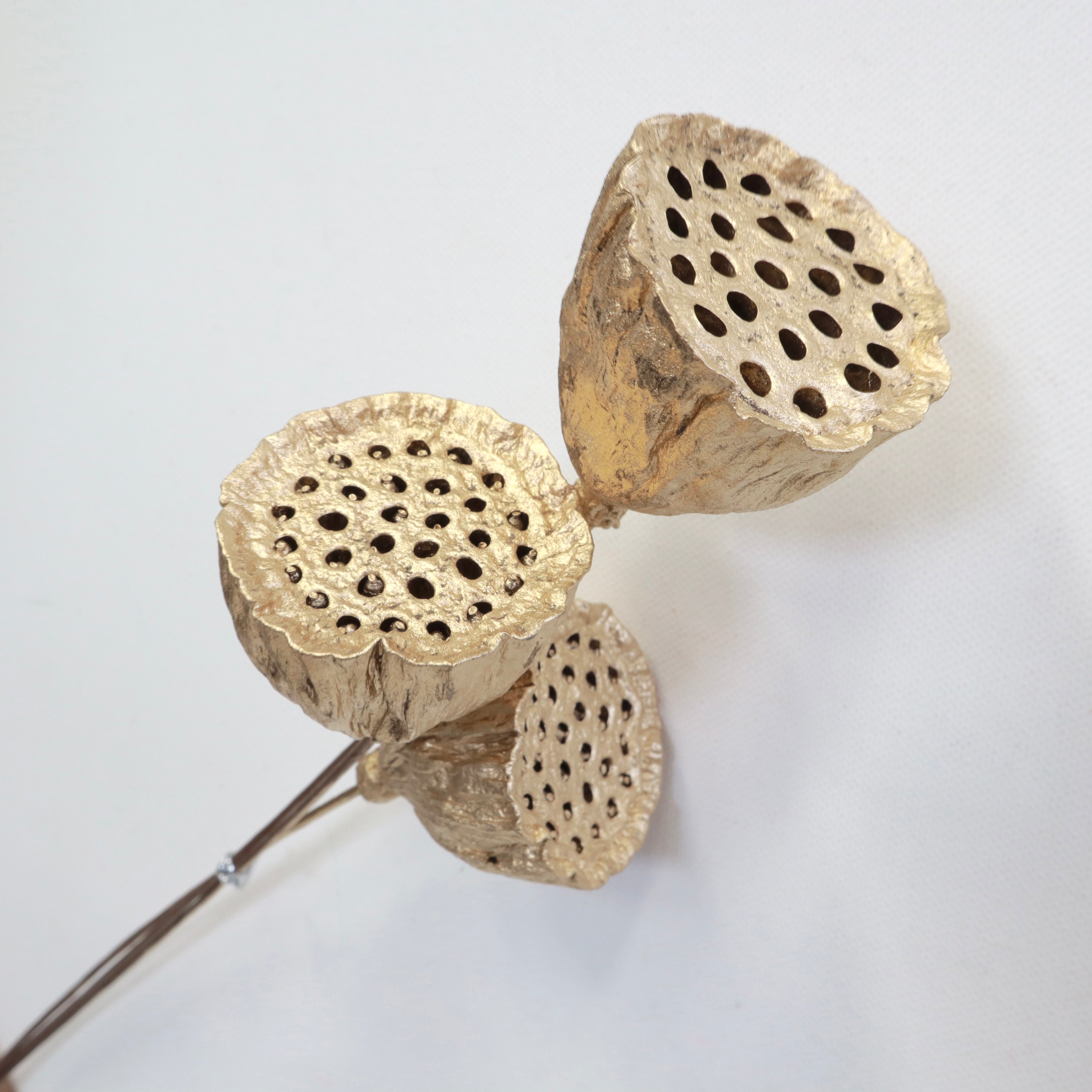 Lotus Pods Gold Medium