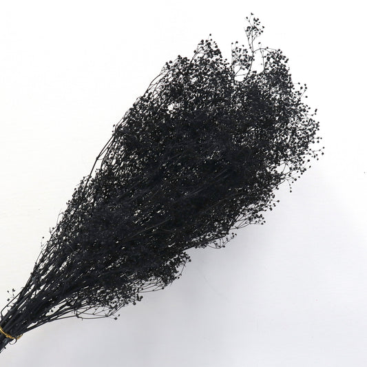 Snowy Baby's Breath Black