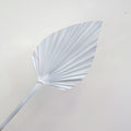 Palm Leaf Small Sprayed White