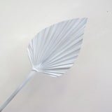 Palm Leaf Small Sprayed White