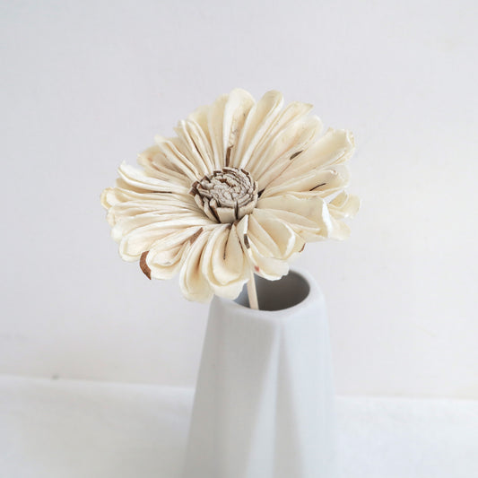 Sola Flower Daisy Brown