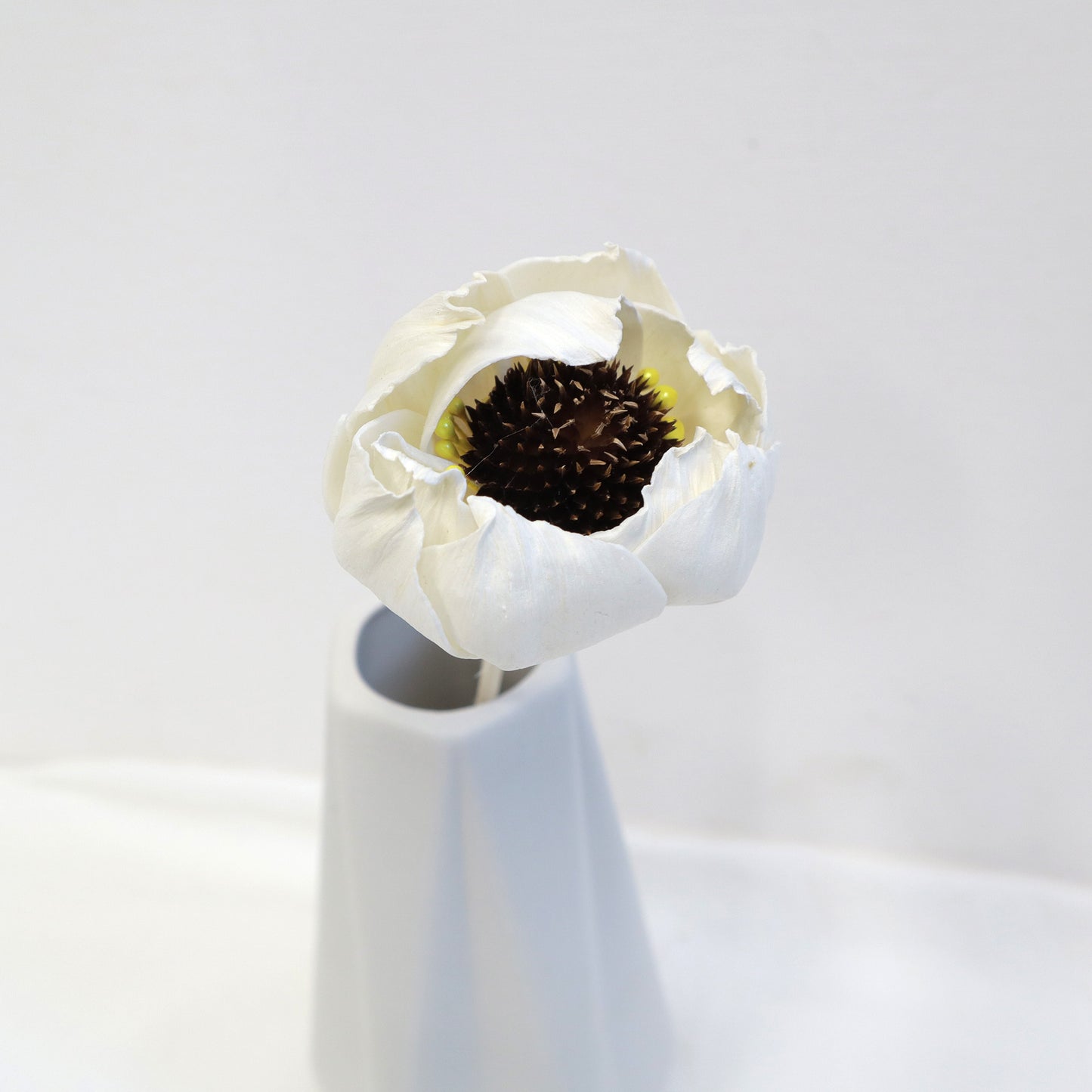 Sola Flower E