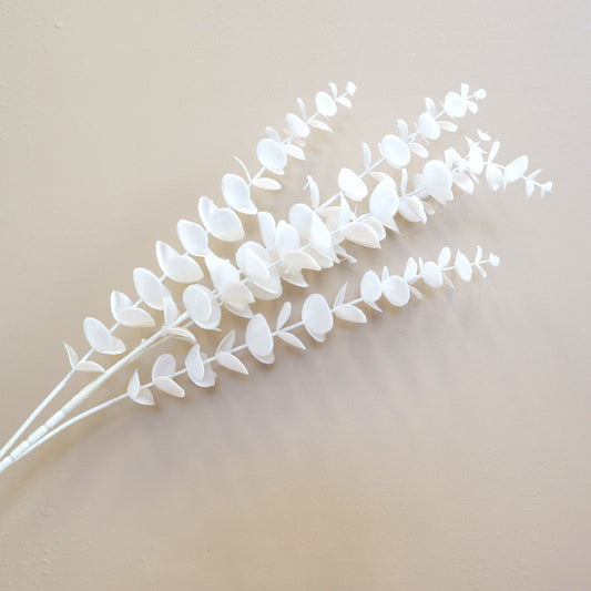 Artificial Dollar Gum White