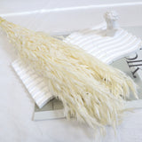 Dried Oat White