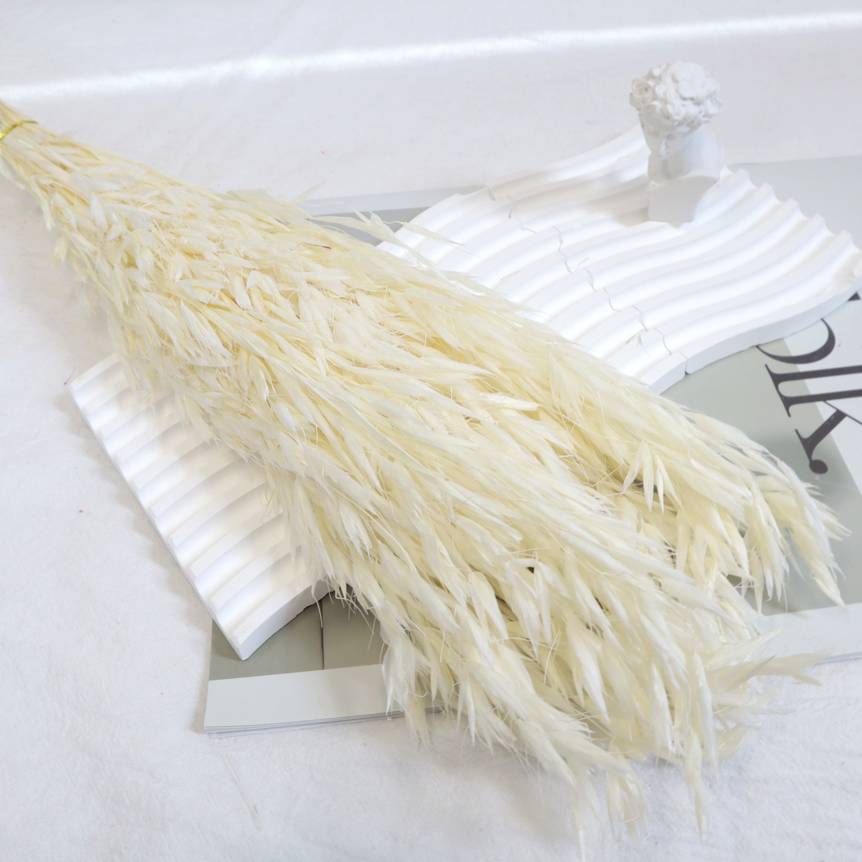 Dried Oat White