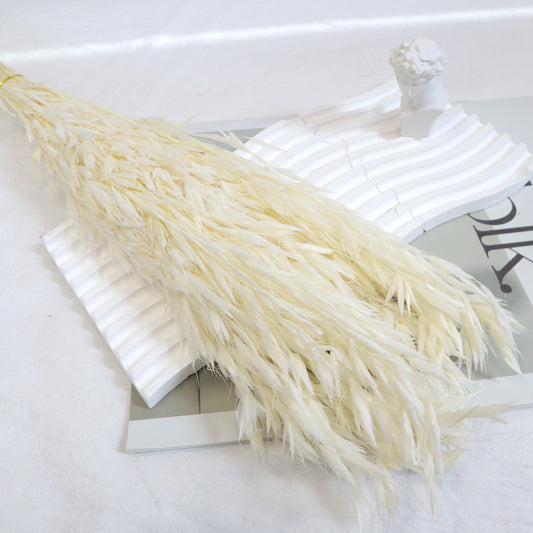 Dried Oat White