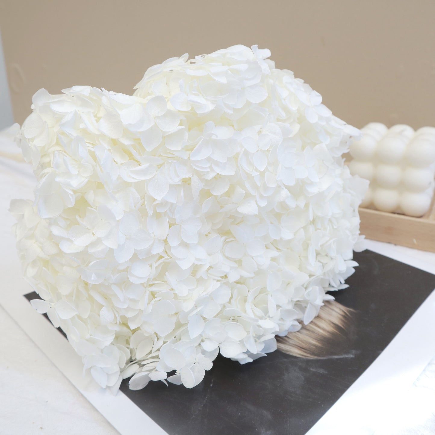 Annabelle Hydrangea Pure White