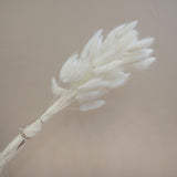 Bunny Tails White
