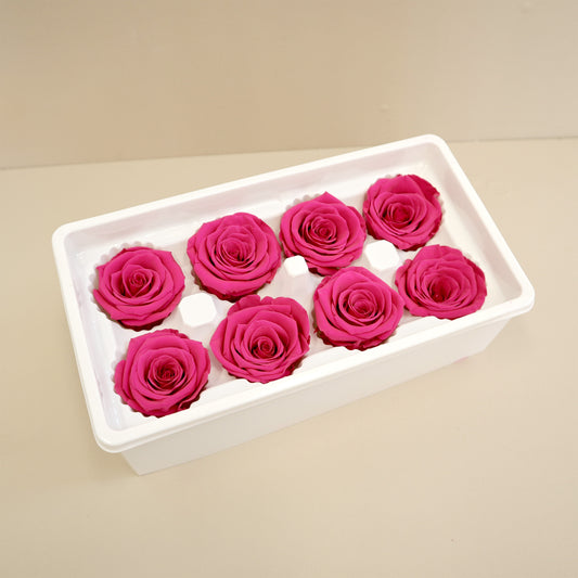Rose Hot Pink 8 Heads