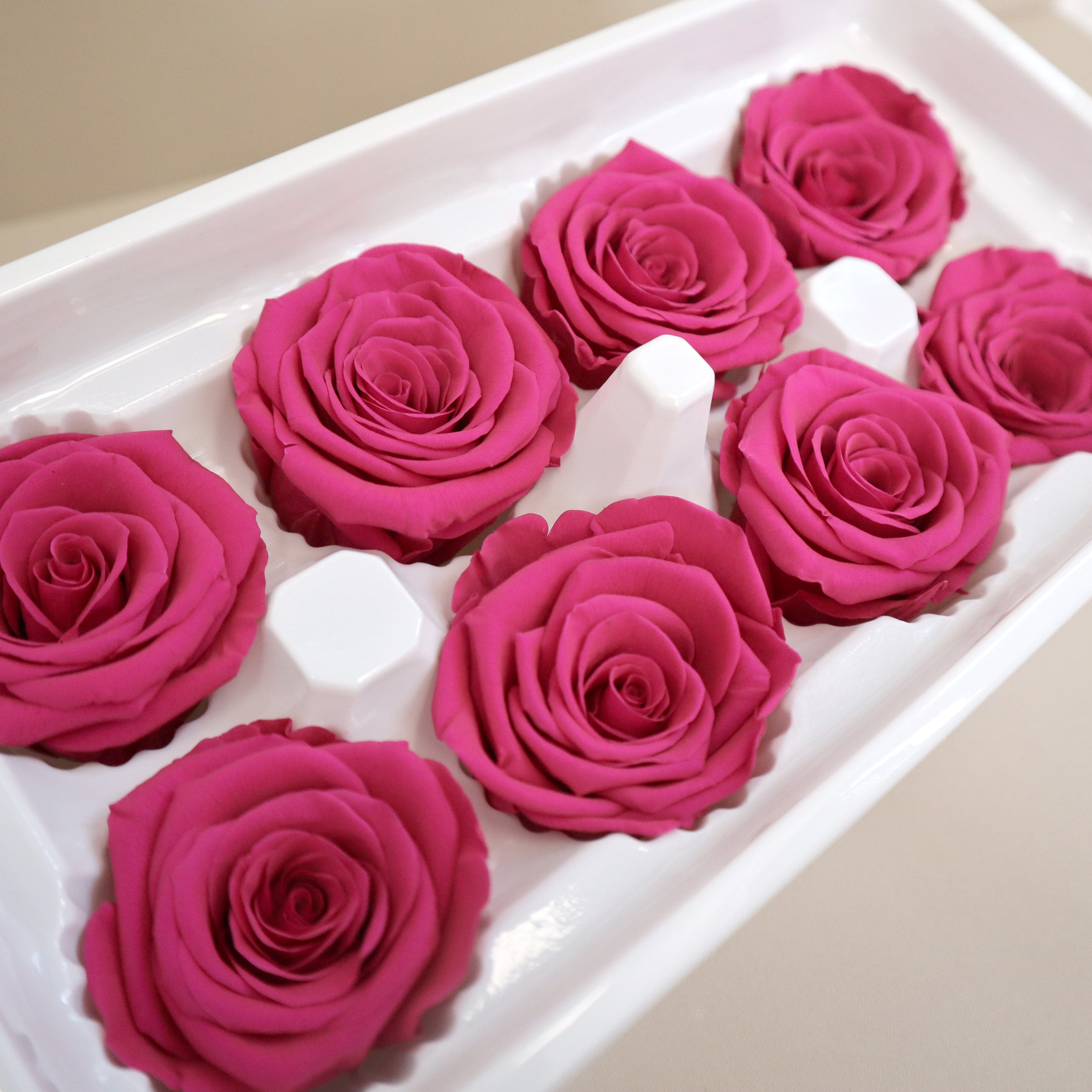 Rose Hot Pink 8 Heads