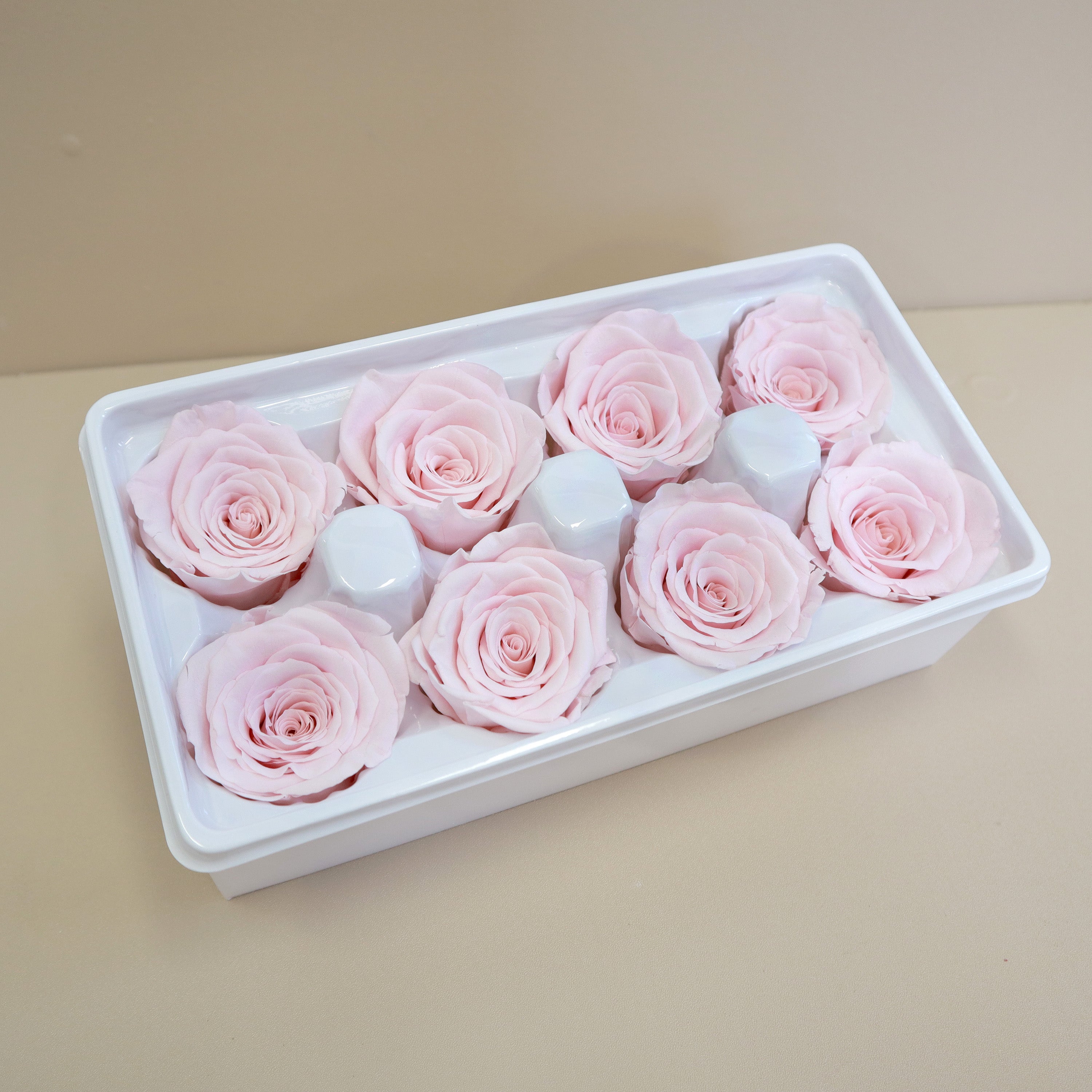 Rose Baby Pink 8 heads